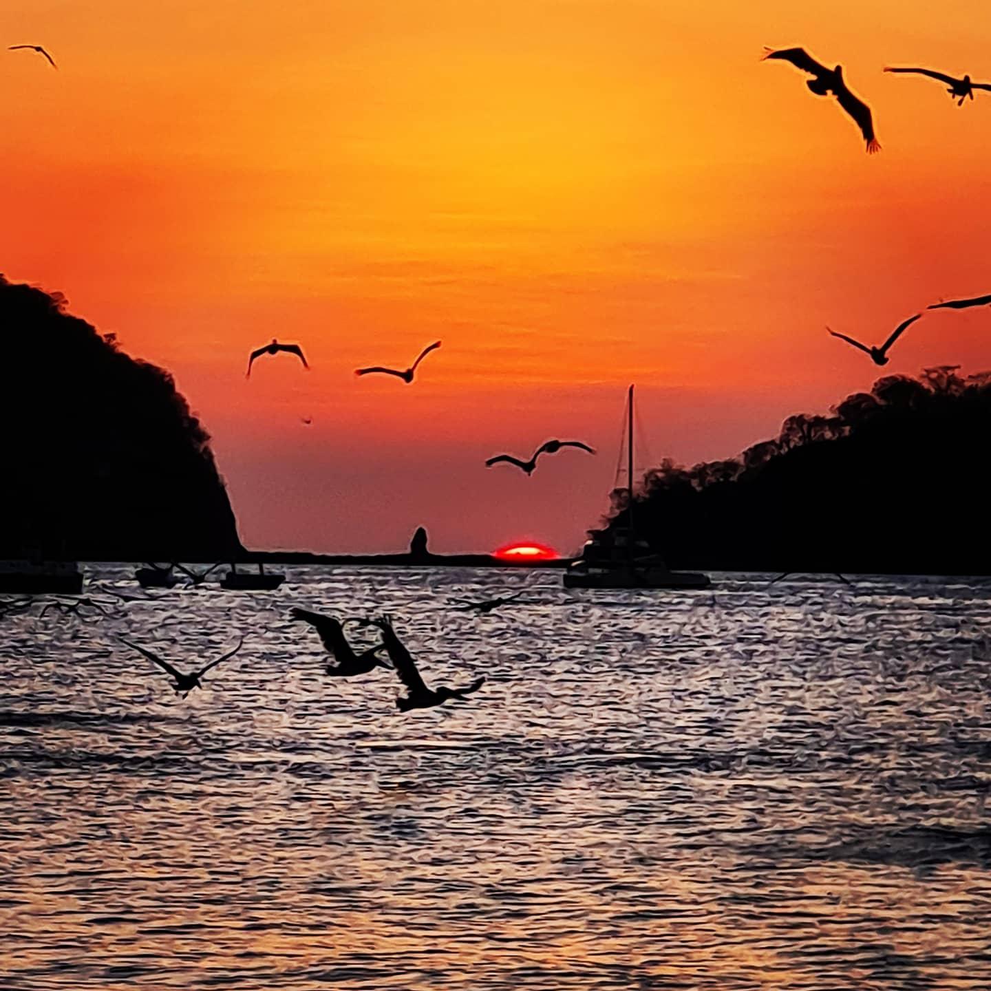 Playas del Coco 11