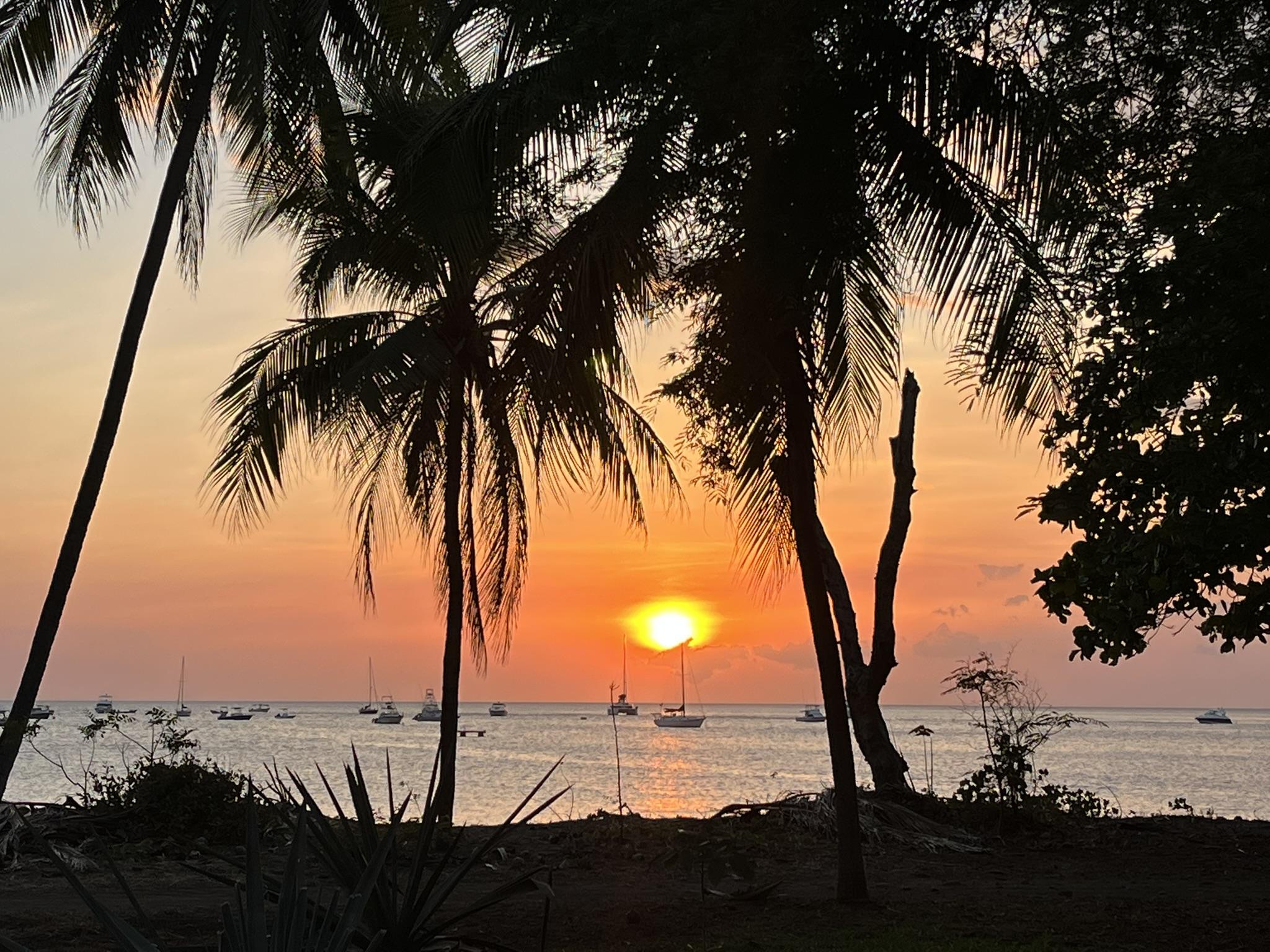 Playas del Coco 4