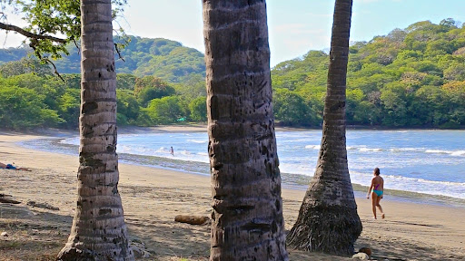 Playa Panama