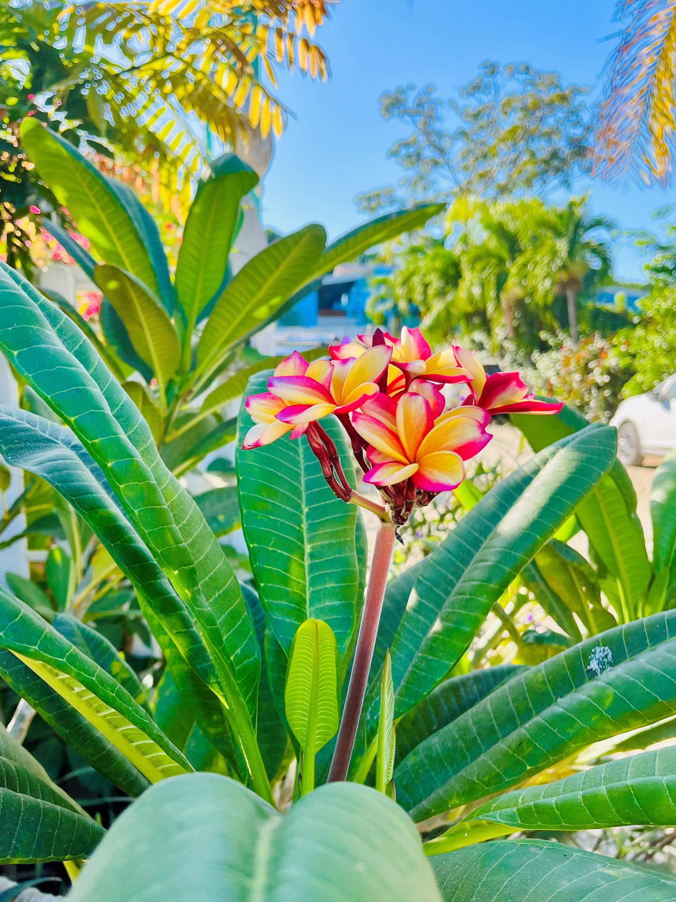 Adventures & Tours in Guanacaste