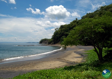 Playa Ocotal: