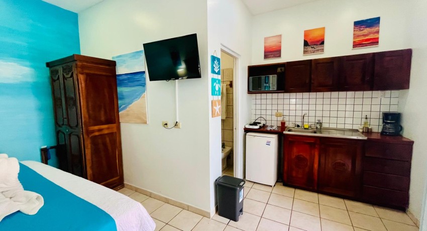 #1 – Poolside King Room