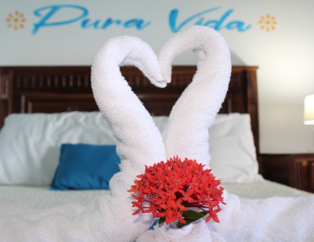 #02 - Poolside Family Room